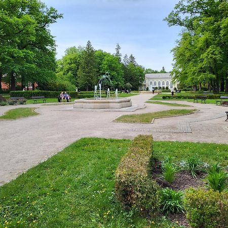 Villa Klara Cieplice Jelenia Góra Екстериор снимка