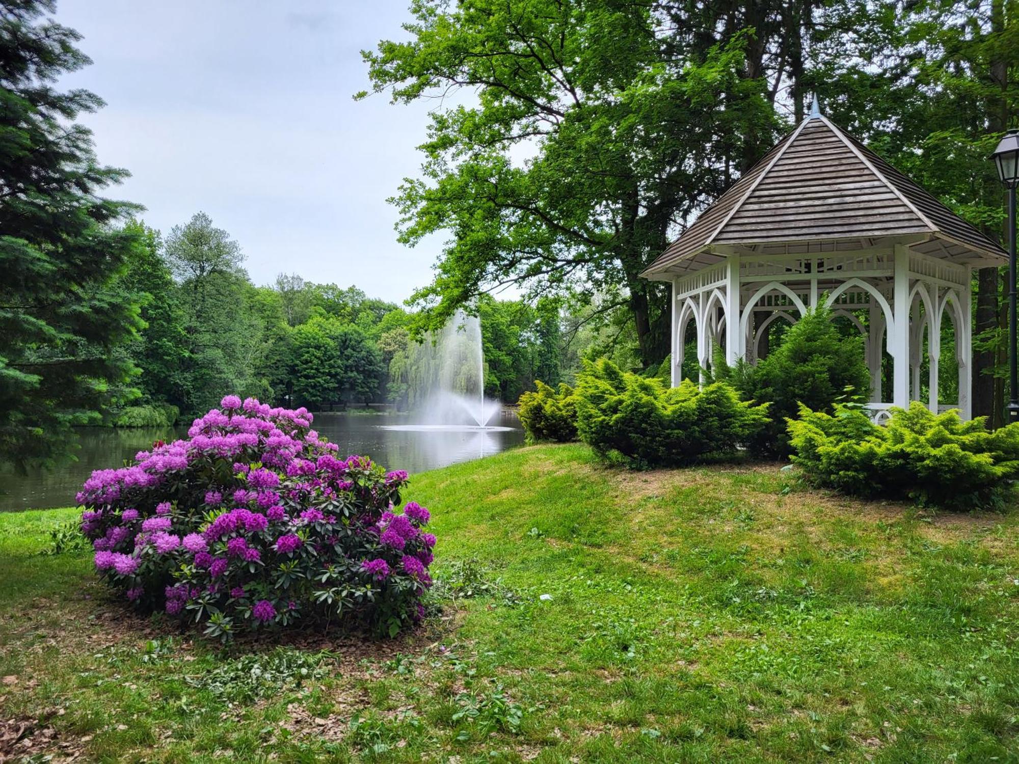 Villa Klara Cieplice Jelenia Góra Екстериор снимка